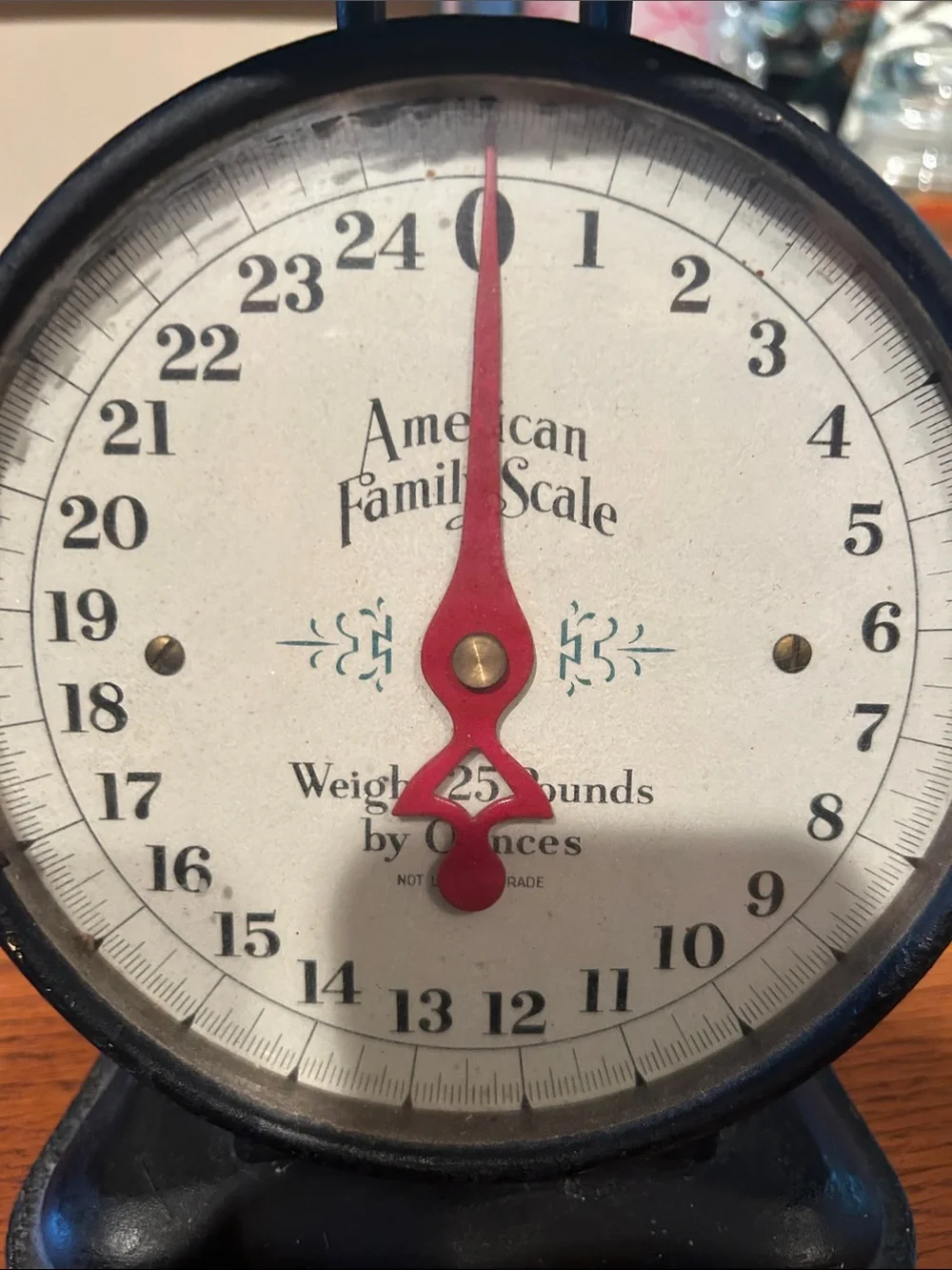 Vintage American family scale 25 pound